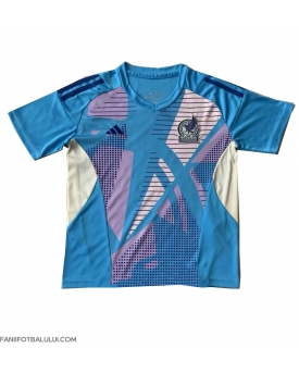 Mexic Portarii Tricou Fotbal Replică Copa America 2024 Barbati Deplasare